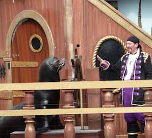 Sealion & Otterschow