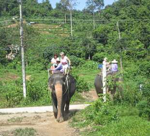 Kurzer Ritt mit Verkaufsveranstaltung