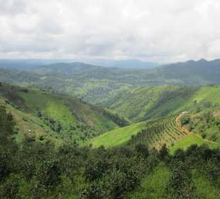 To Palaung Villages 1