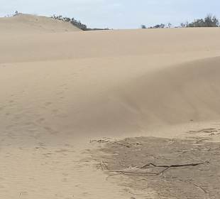 Dünen von Maspalomas