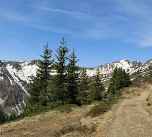 Wanderausflug kurz vor Ochsenhofer Scharte