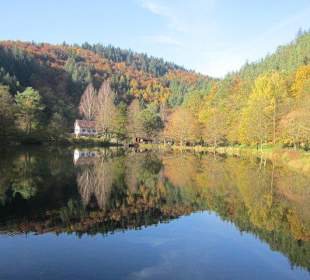 Der wunderschöne Helmbachweiher