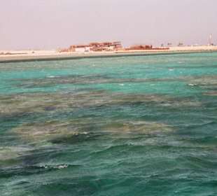 Tauch- und Schnorcheltour