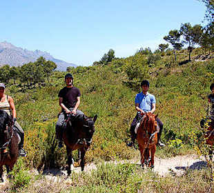 Horse Riding Costa Blanca