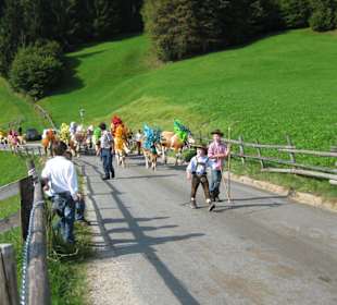 Almabtrieb
