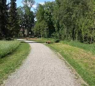 Kurpark Bad Niedernau