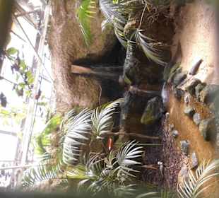 Weltvogelpark Walsrode