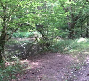 Hummelklingensee Walddorf