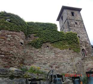 Eindrücke entlang des Werraradwegs