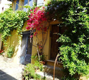 Spaziergang durch die Altstadt von Collioure
