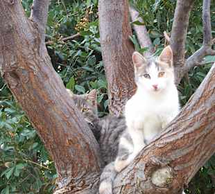 An der Strandpromenade