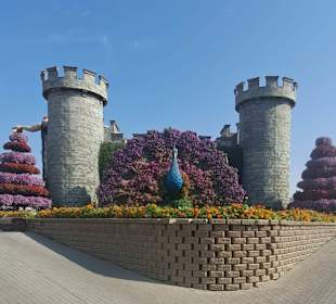 Dubai Miracle Garden