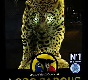 Leuchtreklame im Ort