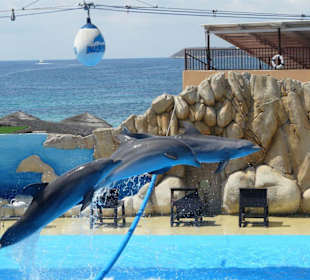 Gruss vom Marinaland