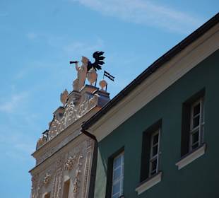 Collegium Maximum UMK