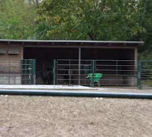 Tierpark 
