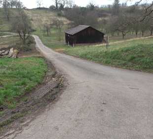 Unterjesinger Wengertwegle