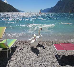 Strand von Torbole