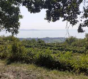 Blick Richtung Fonyod