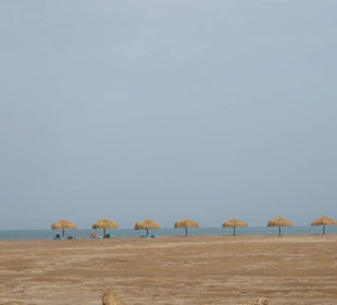 Element Watersports  - El Gouna 