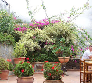 Lokal in Masca