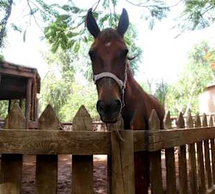 Oasis Park - Fuerteventura