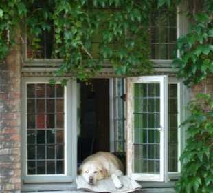 Er schaut den Booten nach