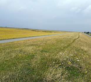 Seehundaufzuchtstation Friedrichskoog