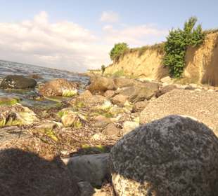 Natur und Ruhe pur am Ende der Welt (Insel)