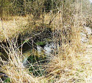 Naturschutzgebiet Kupferbachtal