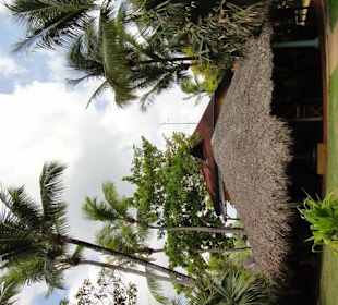 Samana-Las Terrenas Tour