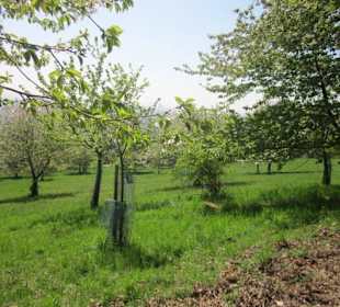 Theresienweg Weyher