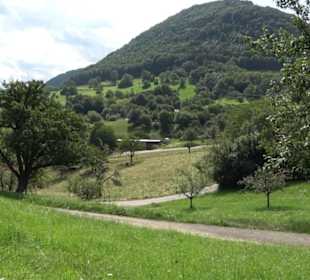 Hochgehnießen - Premiumspazierwanderweg