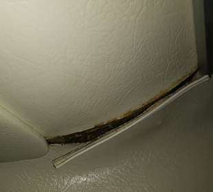 Für 2400 EU pro Woche