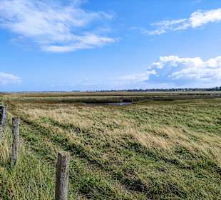 Naturschutzgebiet Graswarder
