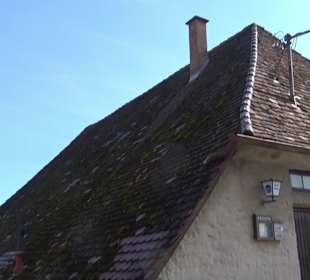 Riedkelter Hirschau