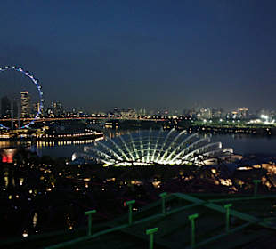 View from Supertree by Indochine - Singapore