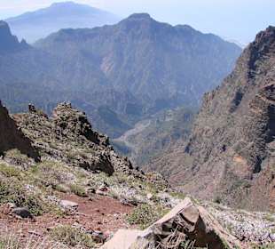 In der Mitte der Insel