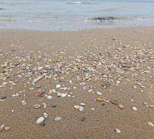 Strand Scheveningen
