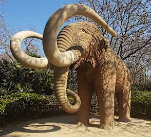 Mamut