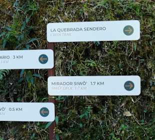 Wandern San Gerardo de Dota