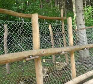 Phäno-Pfad Aichstetten