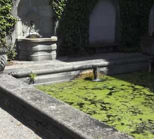 Paläontologisches Museum