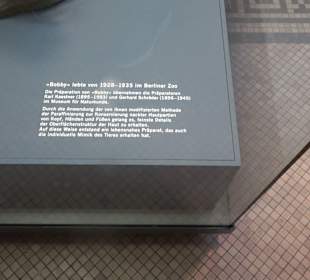 Museum für Naturkunde