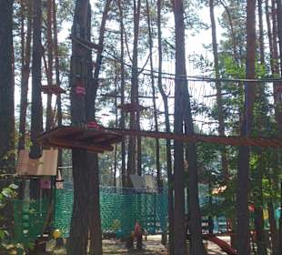 Park od środka