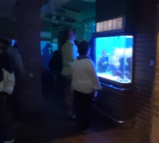 Meeresmuseum Stralsund