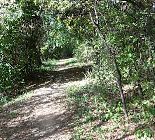 Baumlehrpfad Zollertal