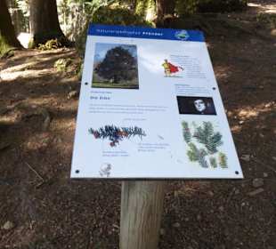 Alpenwildpark Pfänder - Hinweistafel