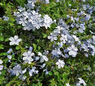 Impressionen aus dem Jardin des Plantes
