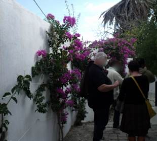 Die blau-weiße Künstlerstadt